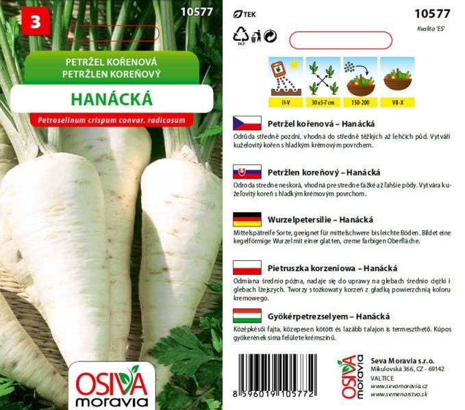 Petržel kořenová HANÁCKÁ_4 g