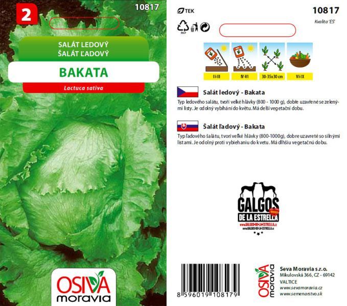 Salát hlávk. ledový BAKATA_0,5 g