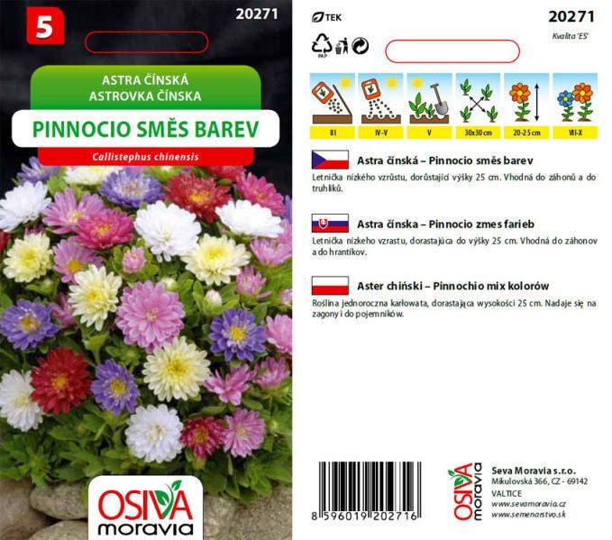 Astra č. - Pinnocio Dwarf směs_0,3 g