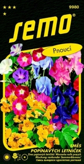 Letničky Směs popínavých letniček_3 g