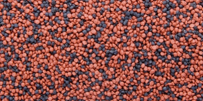 Dajana Mini Tropical Pellets