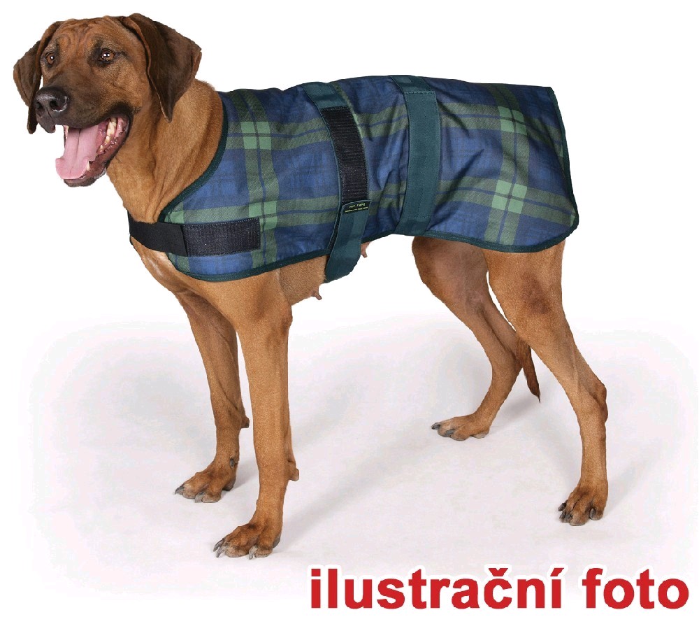 Obleček Derby  S 30cm zelený