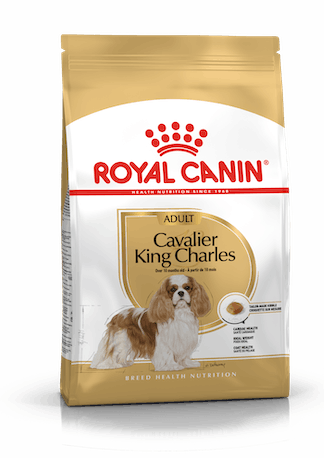 CAVALIER KING CHARLES ADULT 1,5KG