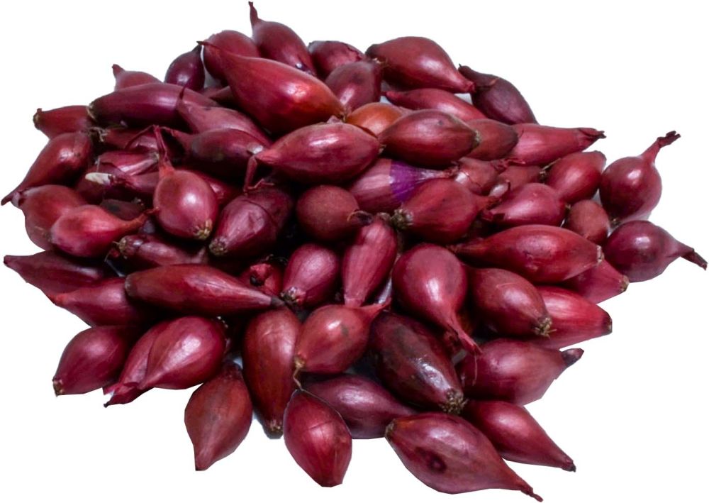 Cibule sazečka - Karmen  10dkg