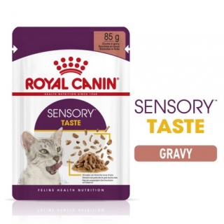 FHN Sensory Taste gravy 85g