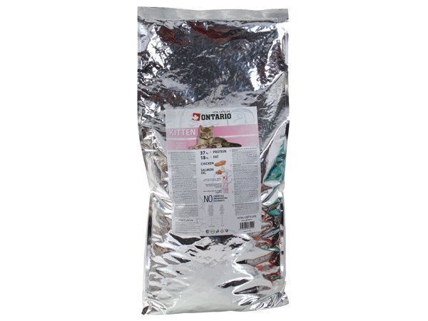 ONTARIO Kitten  6,5kg