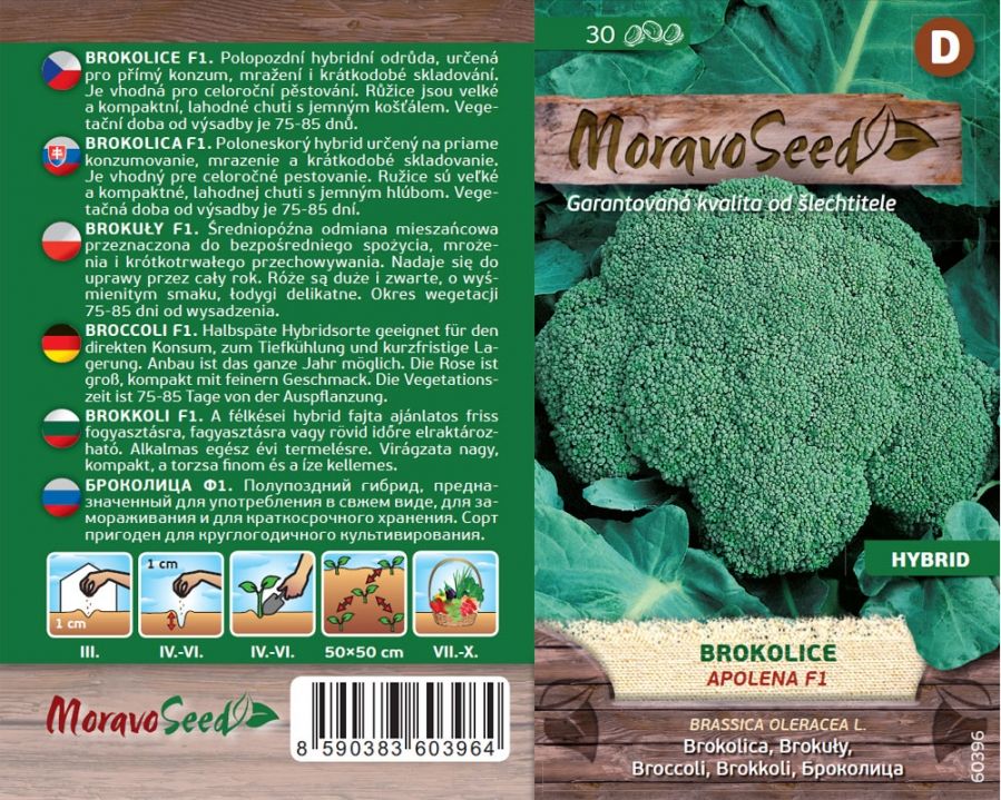 Brokolice - celoroční APOLENA F1