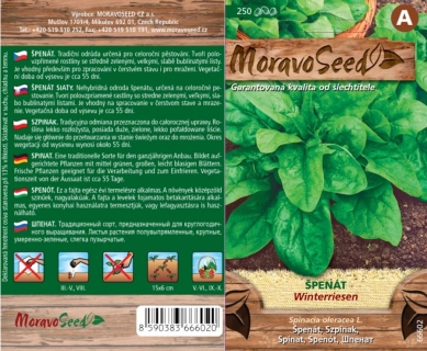 Špenát setý celoroční WINTERRIESEN_250 s